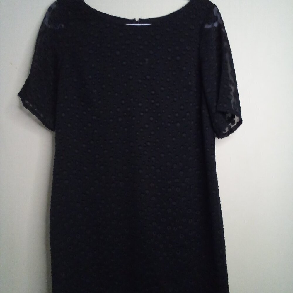 Ann Taylor Dress Women 10P 10 Petite Short Sleeve Lined Classic Career Black